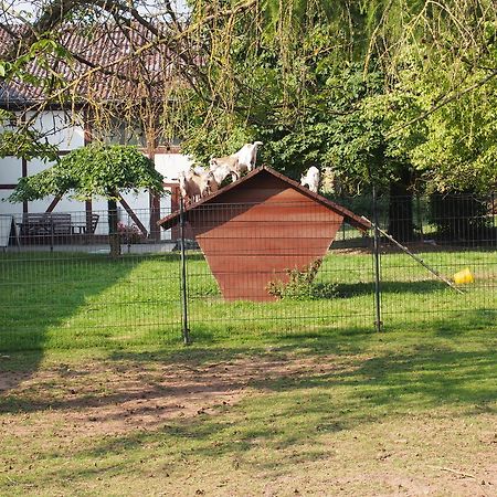 Apartament Gut Dankerode Dankerode  Zewnętrze zdjęcie