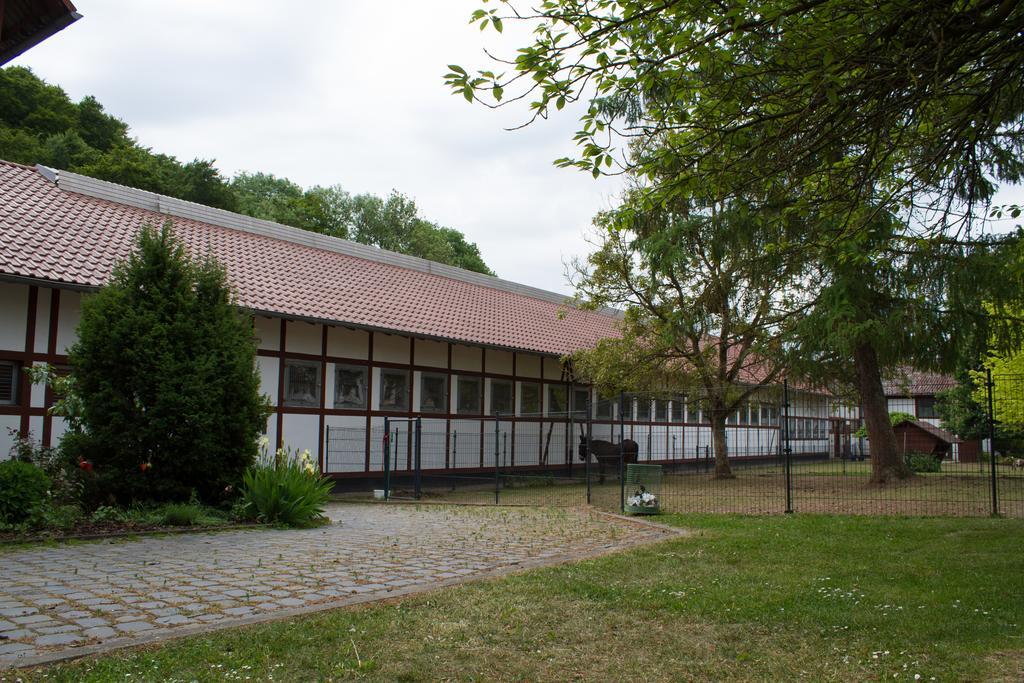Apartament Gut Dankerode Dankerode  Zewnętrze zdjęcie
