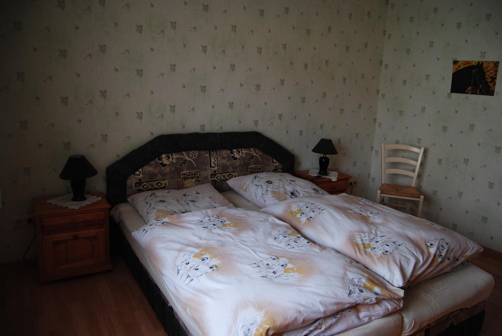 Apartament Gut Dankerode Dankerode  Pokój zdjęcie